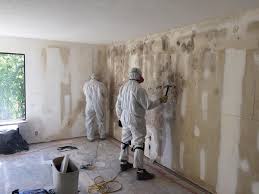 Best Mold Odor Removal Services  in Lisle, IL